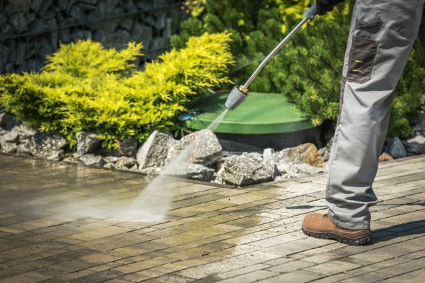 Best Roof Washing  in Bridgeport, AL