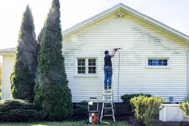 Best Gutter Cleaning  in Bridgeport, AL